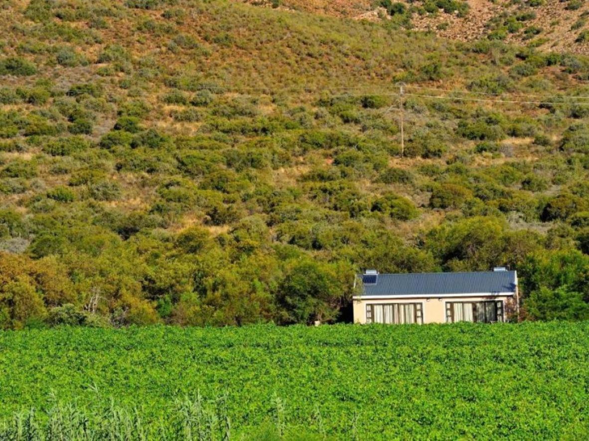 Mymering Wine & Guest Estate Ladismith Exteriör bild