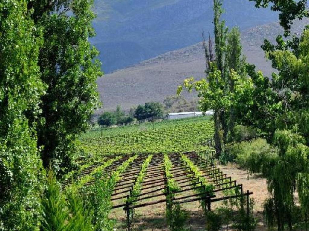 Mymering Wine & Guest Estate Ladismith Exteriör bild